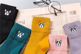 French Bulldog Women's Socks